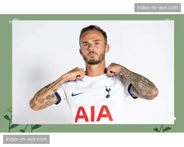 热刺官方确认麦迪逊与萨尔伤愈，可出战周末关键战役