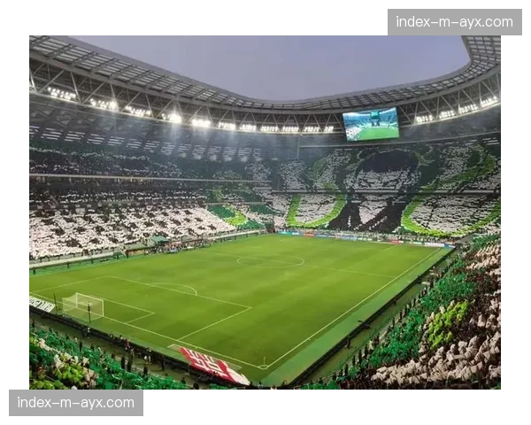 暖心一幕：球迷看台展示巨型TIFO，致敬罹患重病的对方俱乐部小球迷